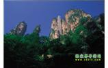 網(wǎng)絡(luò)熱門純玩游：張家界、天子山、袁家界、楊家界 自助三日游