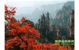 春節(jié)期間：張家界、天子山、金鞭溪自駕車精華精品游