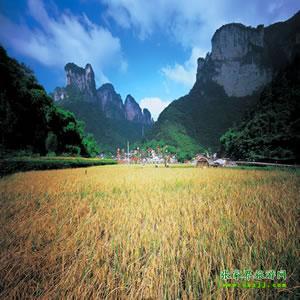 張家界往返純玩散拼：矮寨大橋、德夯苗寨、鳳凰古城、芙蓉鎮(zhèn)二日游